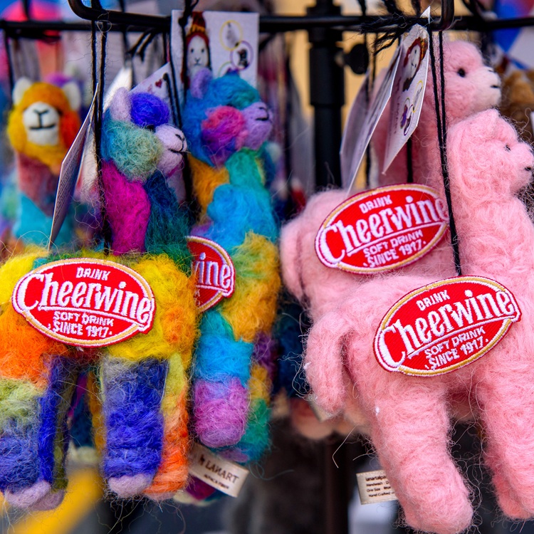 The Cheerwine Festival